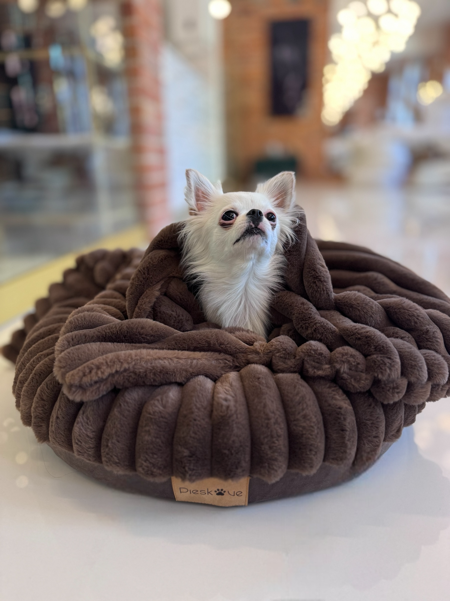Hundedecke Rabbit Brownie