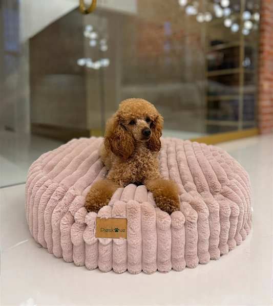 Relax-Kissen Rabbit Candy