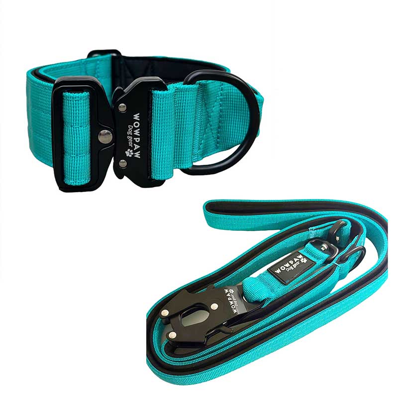Set di collare tattico per cani turchese taglia S e guinzaglio tattico per cani turchese