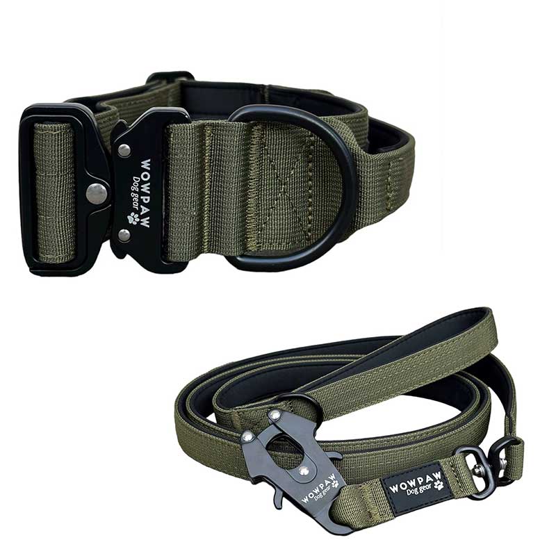Set collare tattico per cani verde militare taglia M e guinzaglio tattico per cani verde militare