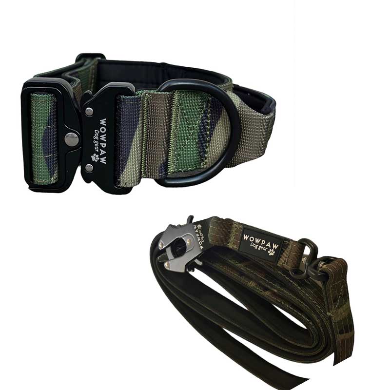 Set di collare tattico per cani mimetico verde militare taglia M e guinzaglio tattico per cani mimetico verde militare
