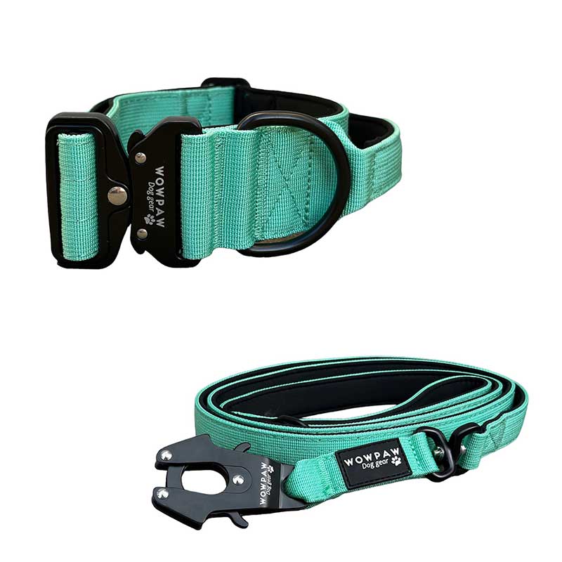 Set collare tattico per cani taglia menta taglia S e guinzaglio tattico per cani menta
