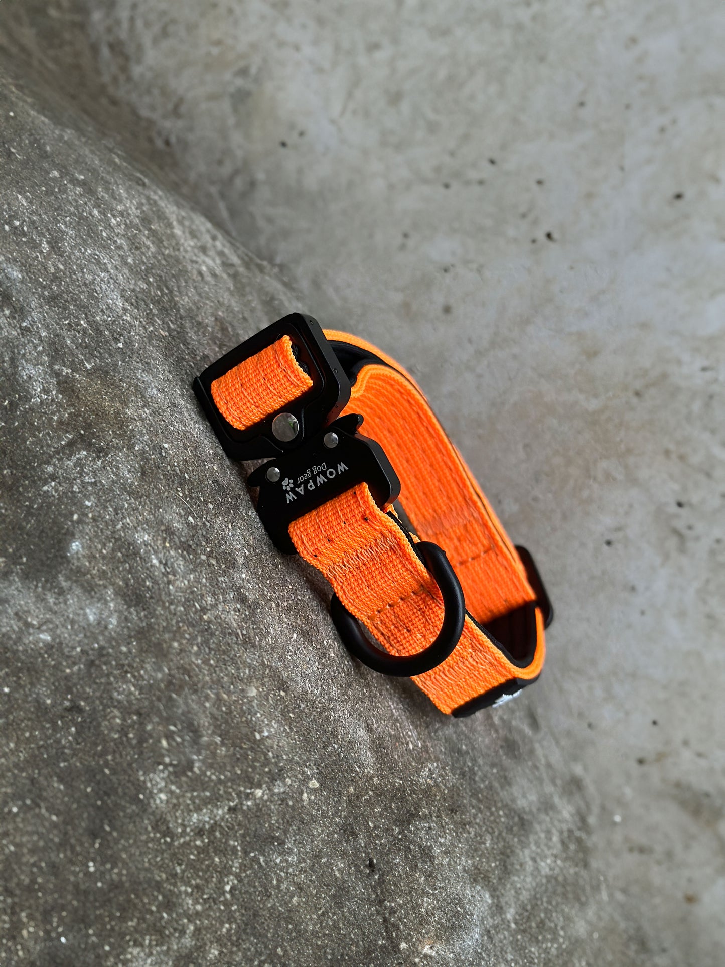 Collare per cani tattico di alta qualità 2,5 cm arancione neon taglia XS