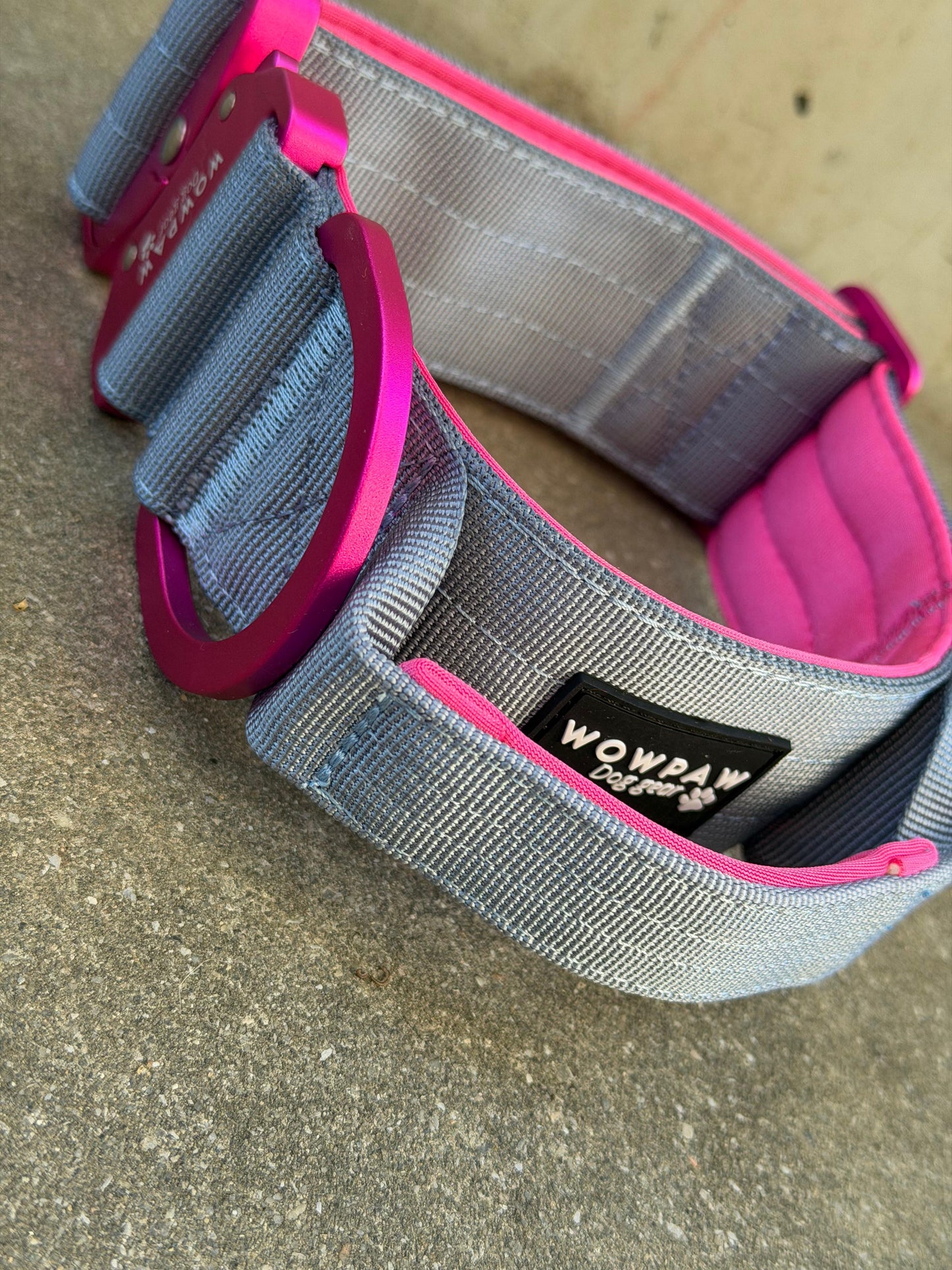 Collare tattico per cani di alta qualità blu royal taglia S