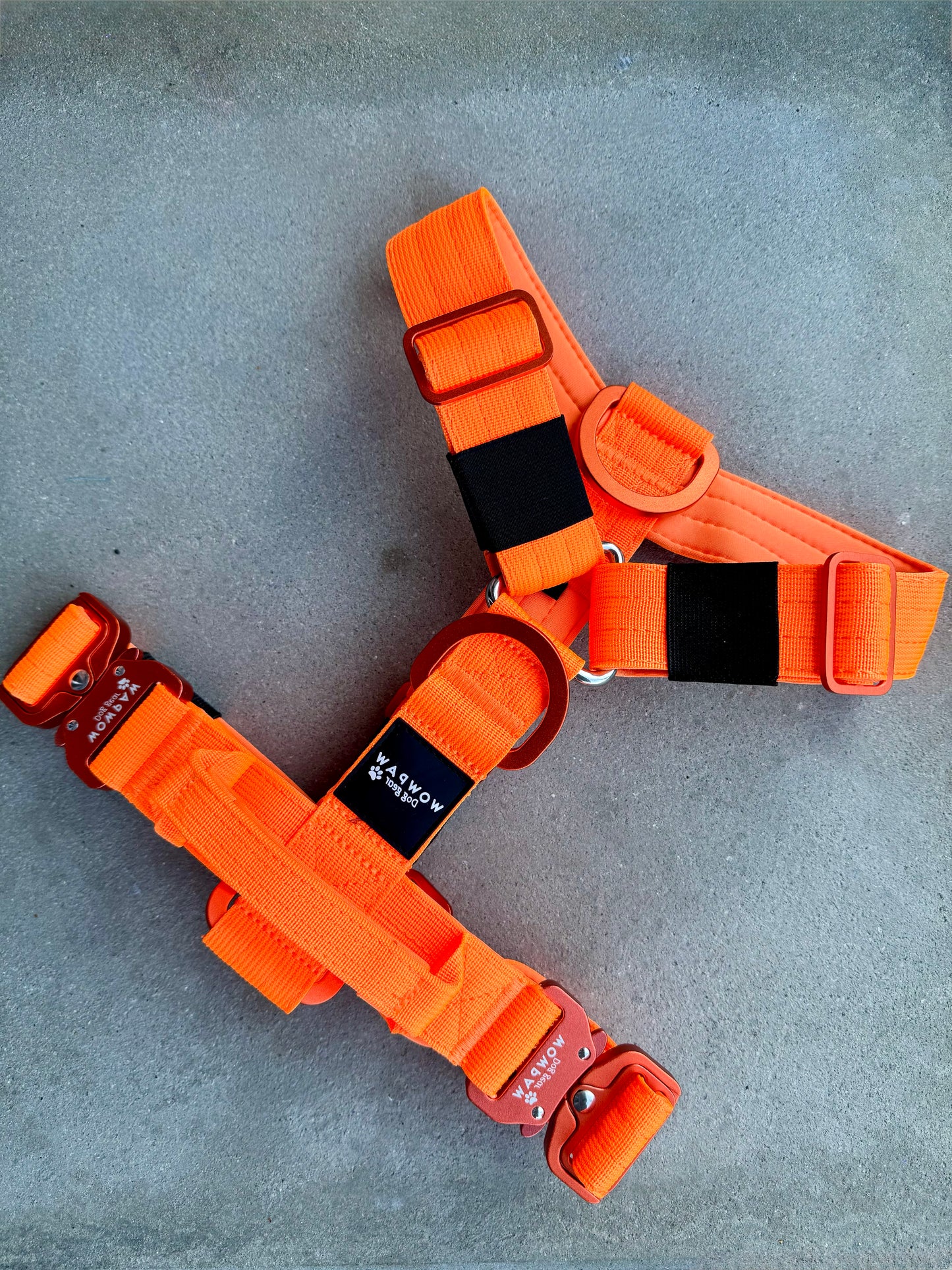 Hochwertiges Hundegeschirr L Neonorange Edition