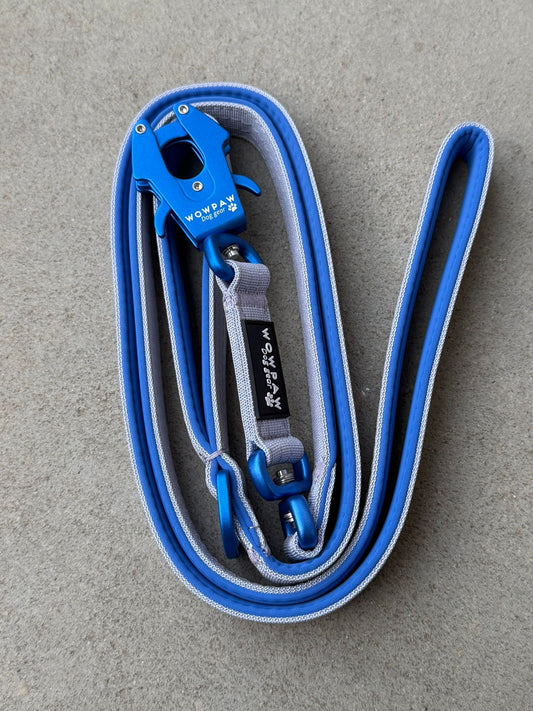 Guinzaglio tattico per cani con moschettone a rana, girevole a 360°, lunghezza 1,8 menta / oro rosa