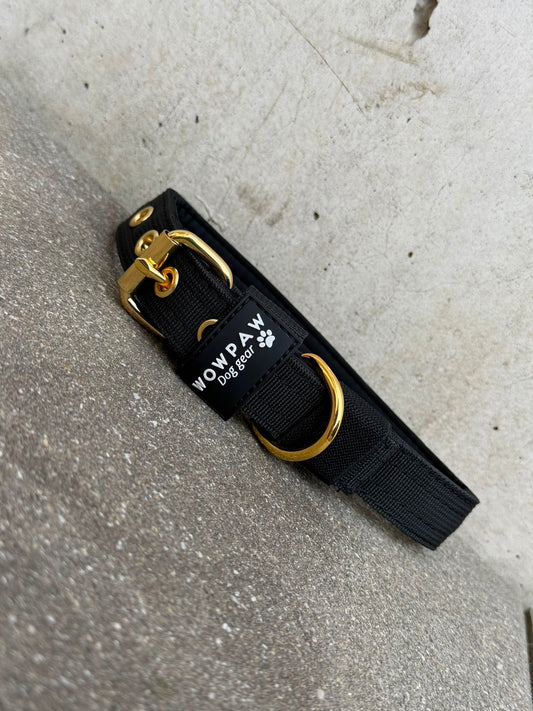 Hochwertiges Basic Hundehalsband Black Edition 2,5cm Größe S