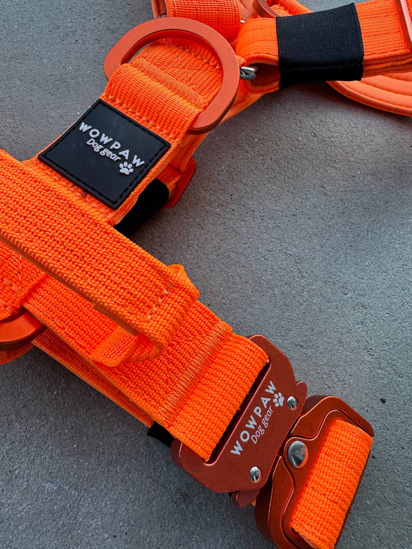 Hochwertiges Hundegeschirr L Neonorange Edition