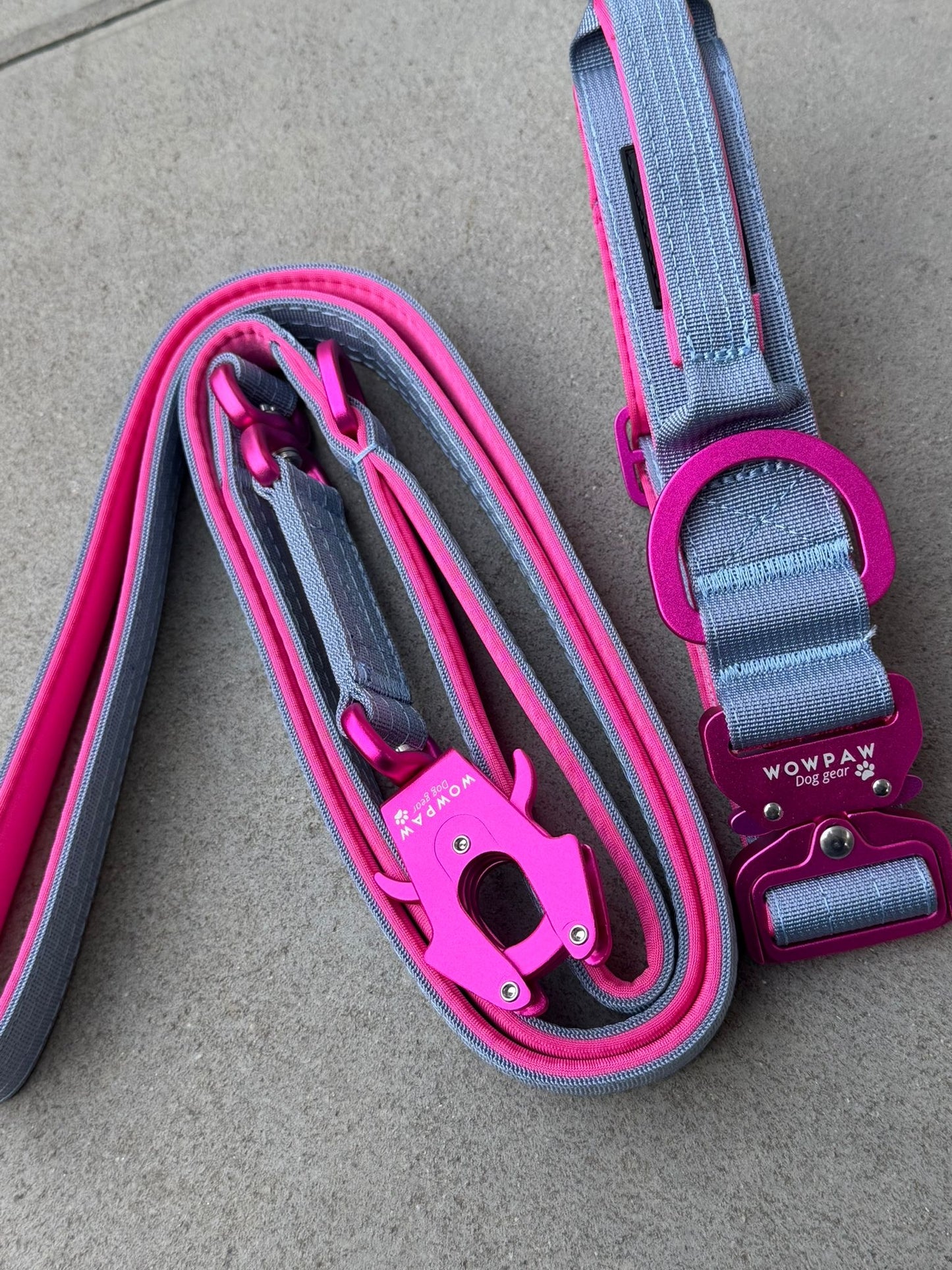 Collare tattico per cani di alta qualità blu royal taglia S