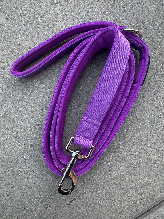 Basic Hundeleine Dunkellila Edition 1,8m