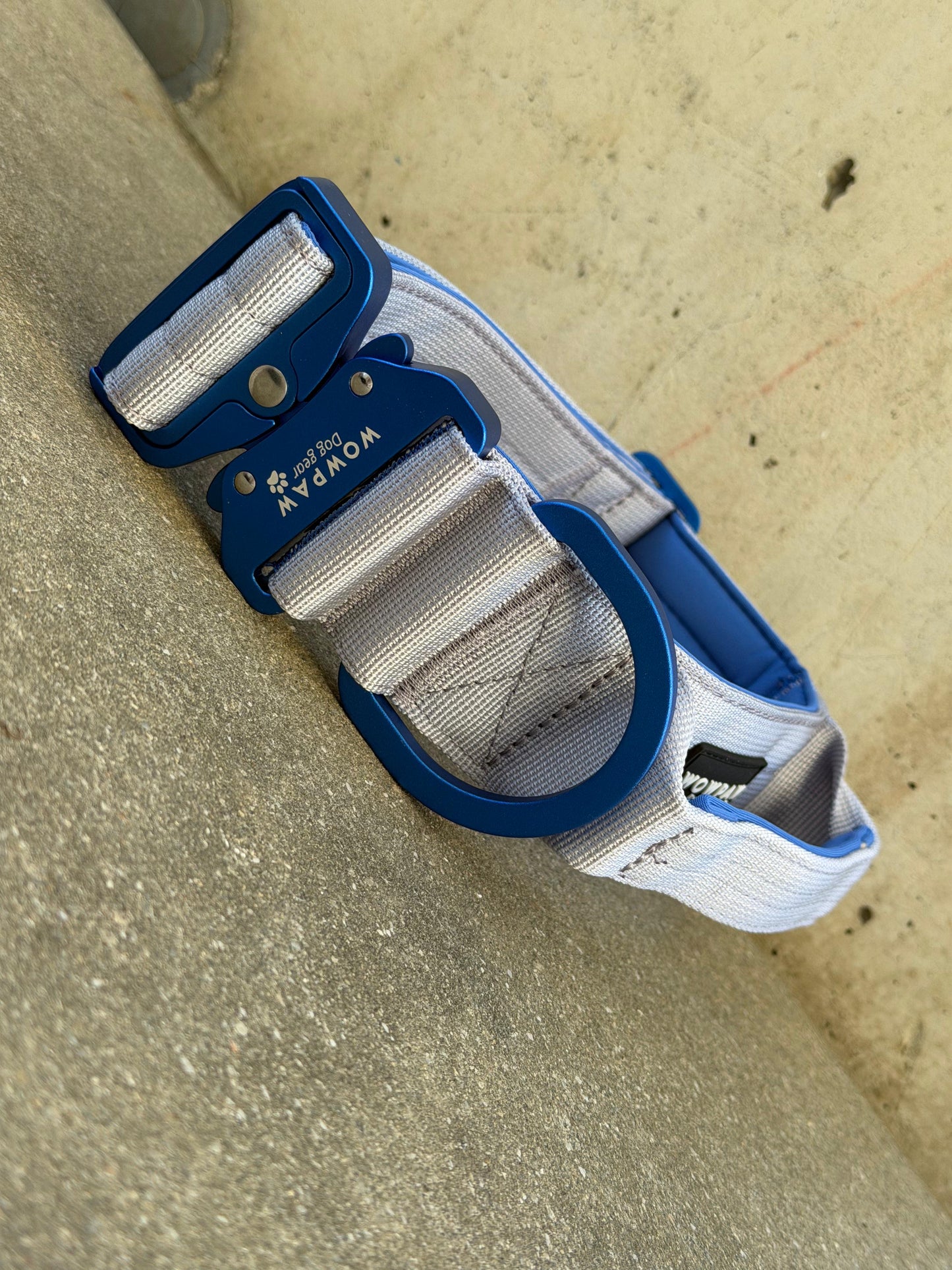 Collare tattico per cani di alta qualità blu royal taglia S