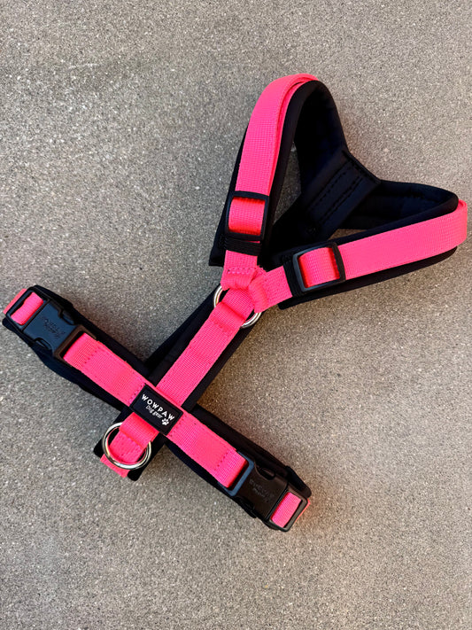 Hochwertiges Hundegeschirr FLOW Neonpink