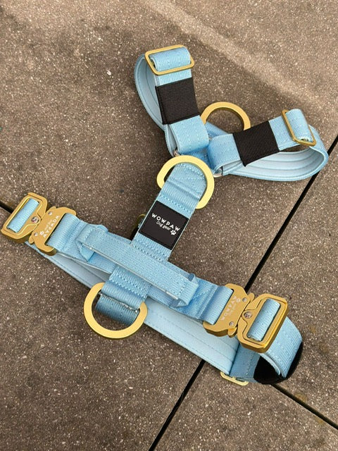 Hochwertiges Hundegeschirr S Sky Blue Edition