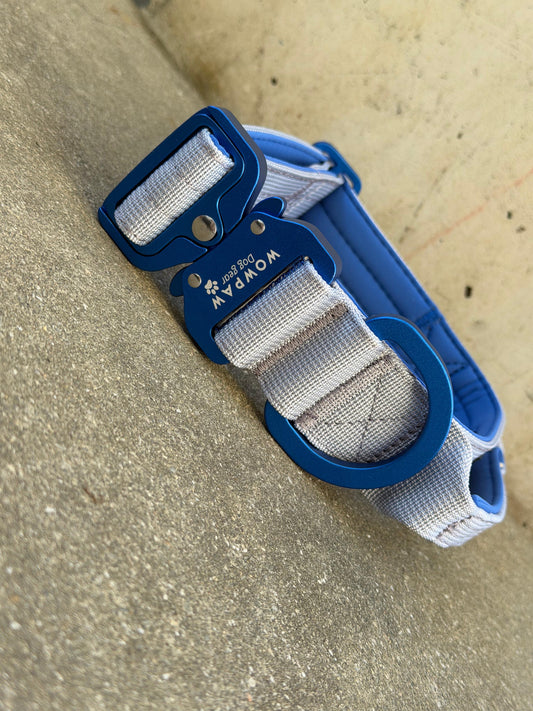 Collare tattico per cani di alta qualità blu royal taglia S