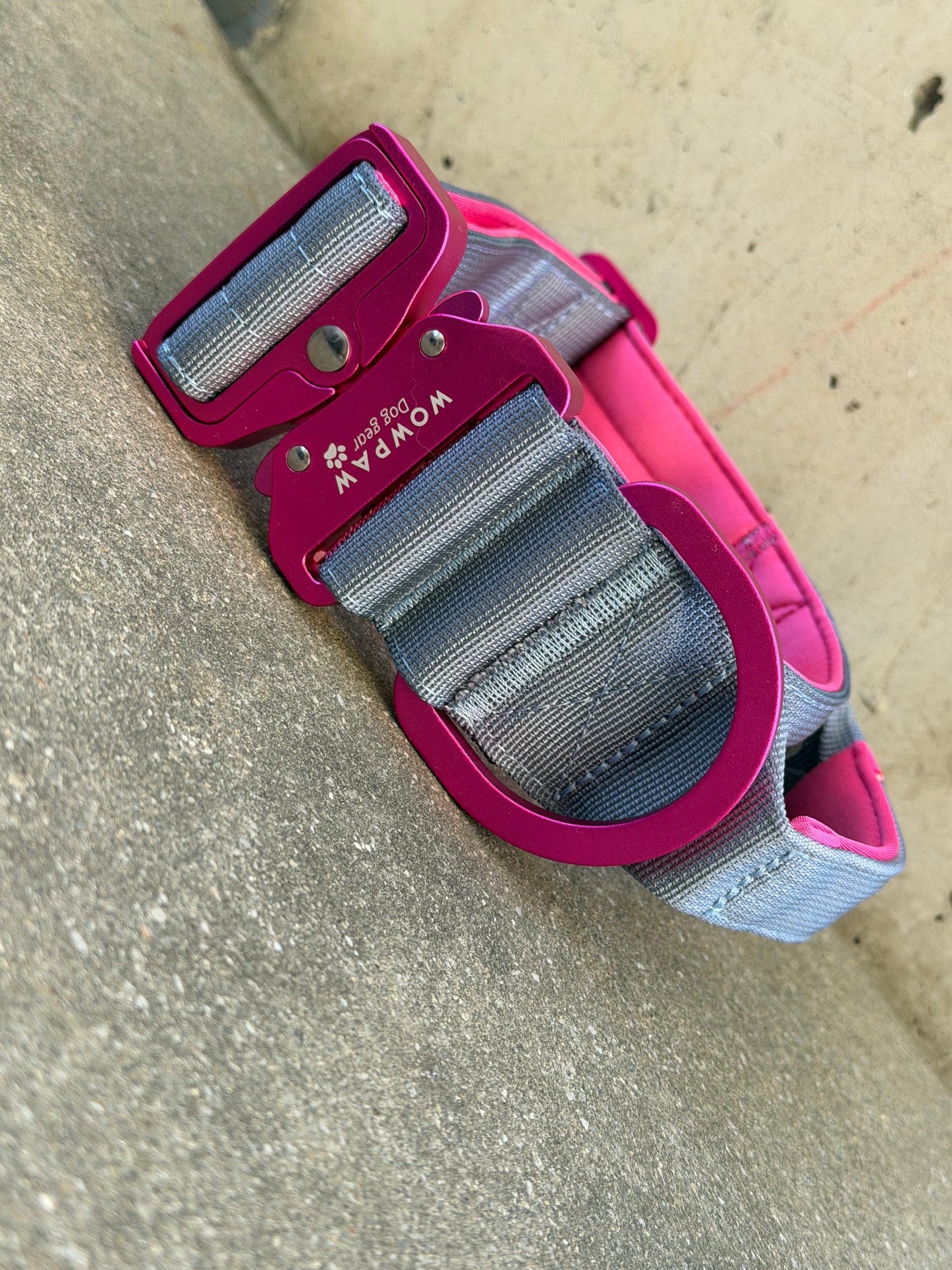 Collare tattico per cani di alta qualità blu royal taglia S