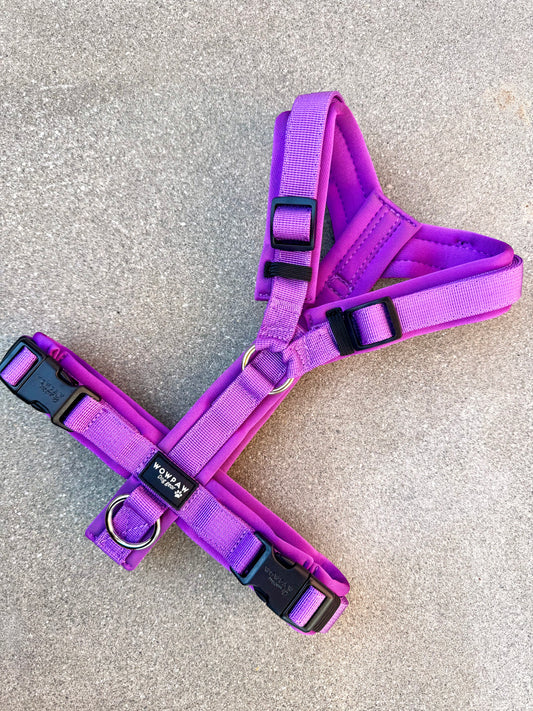 Hochwertiges Hundegeschirr FLOW Dunkellila Edition