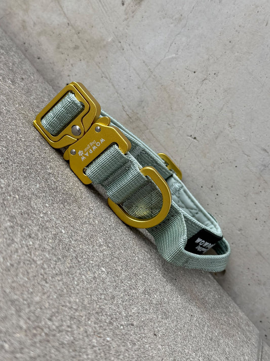 Wysokiej jakości taktyczna obroża dla psa XS 2,5cm, edycja liliowa