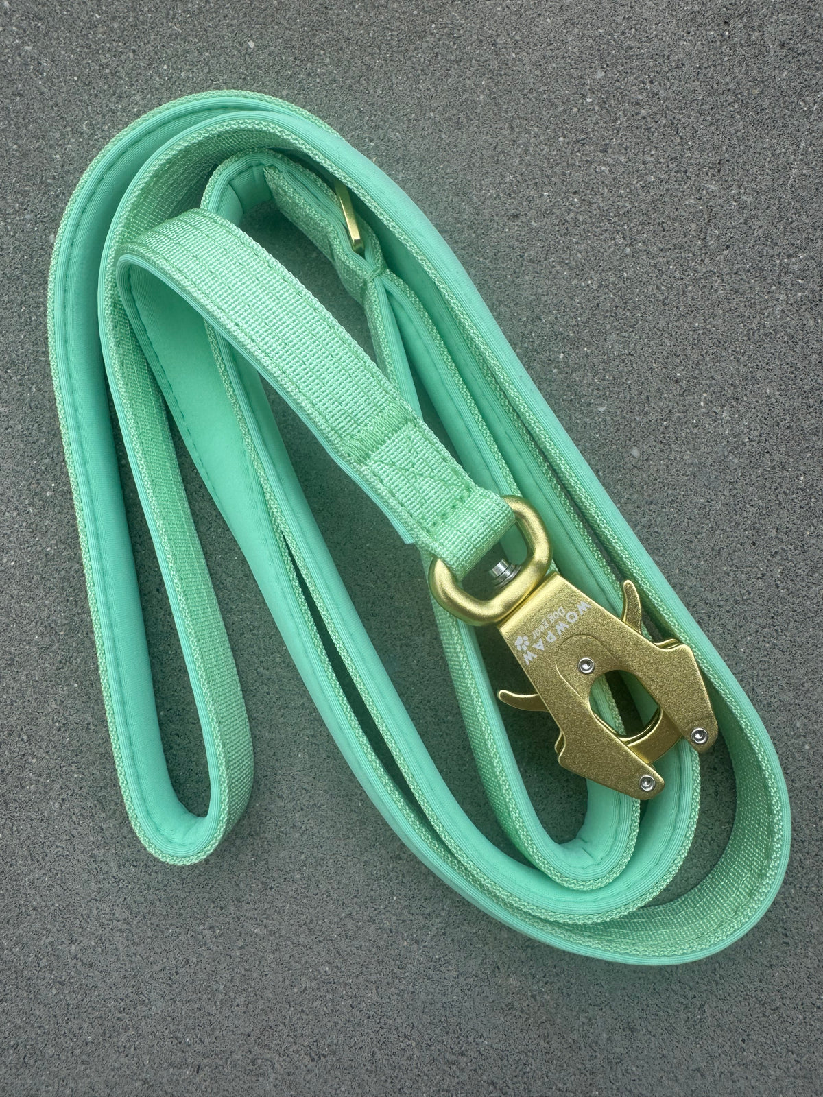 Guinzaglio tattico per cani ULTRA LIGHT Edizione verde pistacchio, lunghezza 1,8m XS