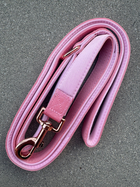 Basic Hundeleine Rosa Edition 1,8m