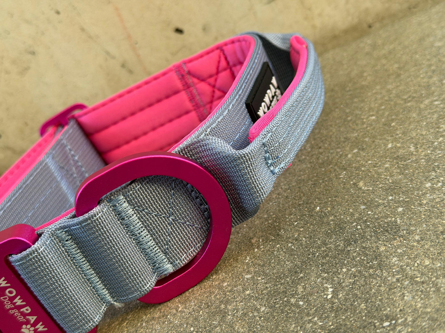 Collare tattico per cani di alta qualità blu royal taglia S