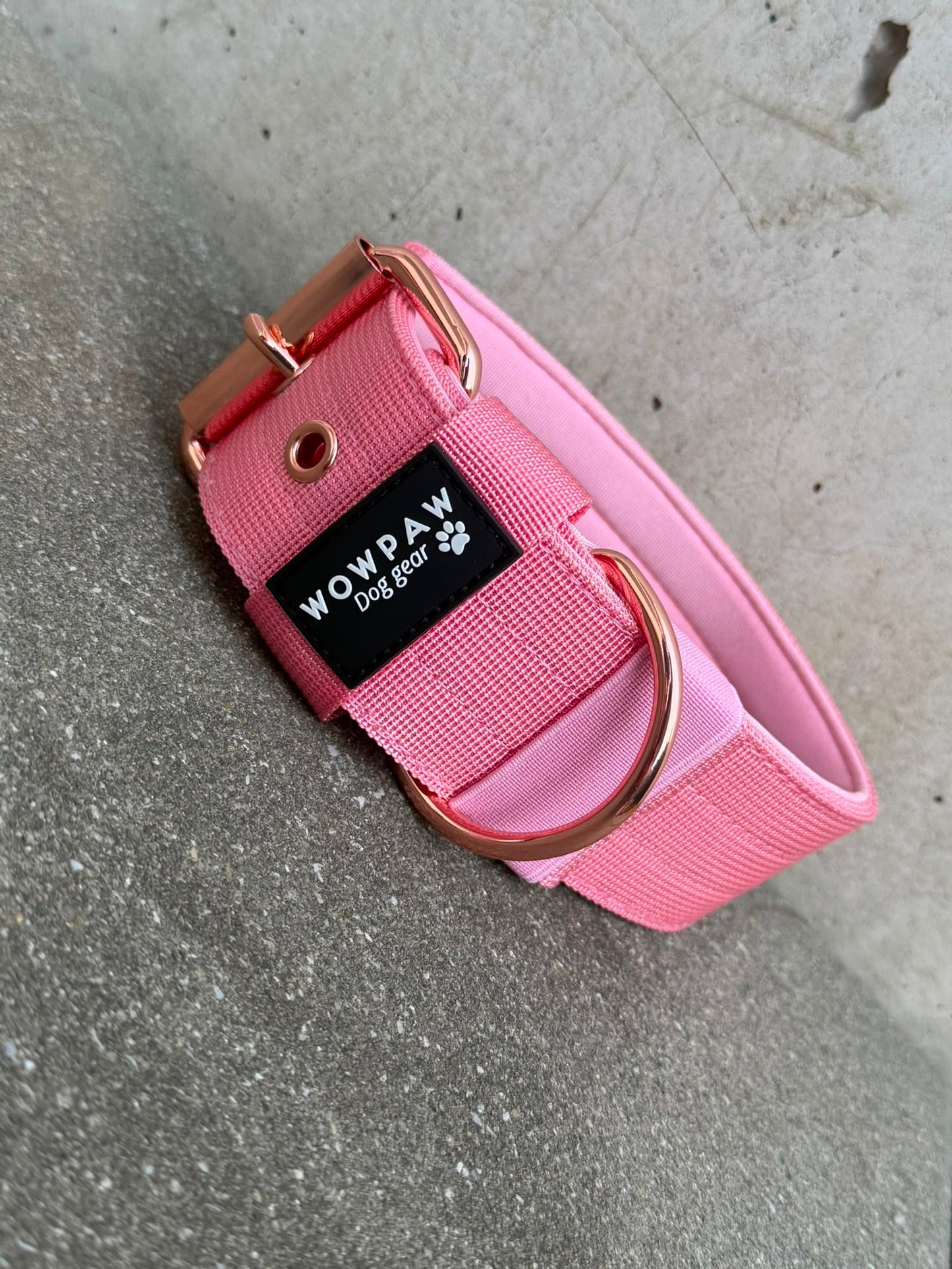 Hochwertiges Basic Hundehalsband Rosa Edition 5cm Größe L