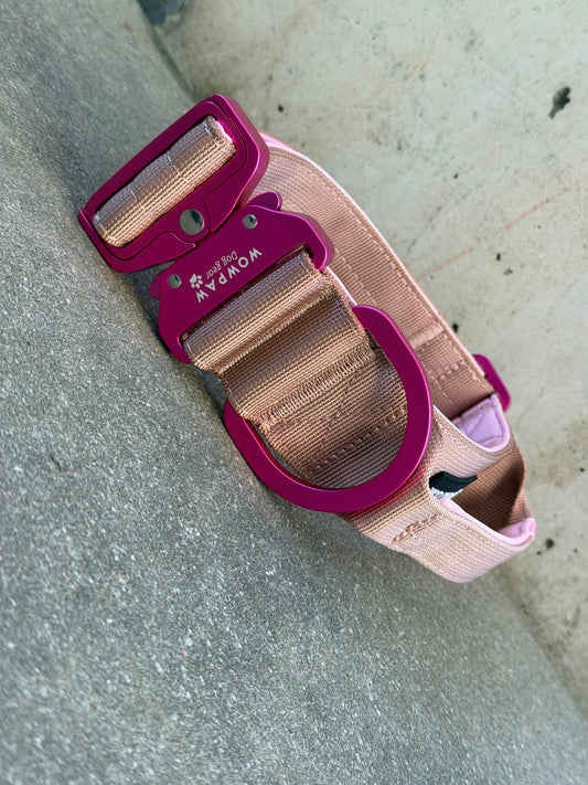 Collare tattico per cani di alta qualità blu royal taglia S