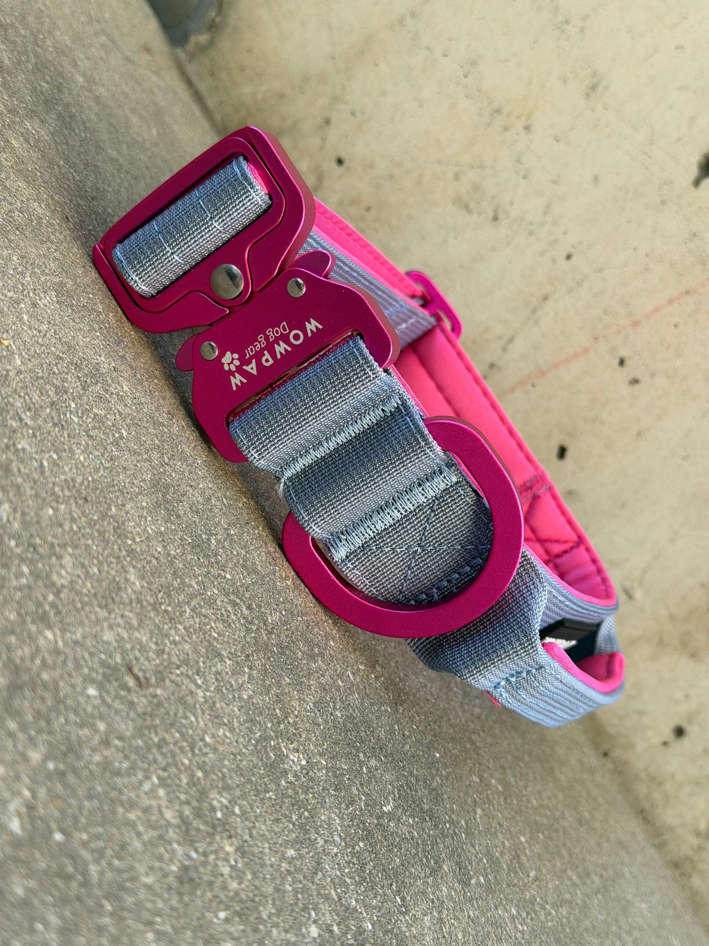 Collare tattico per cani di alta qualità blu royal taglia S