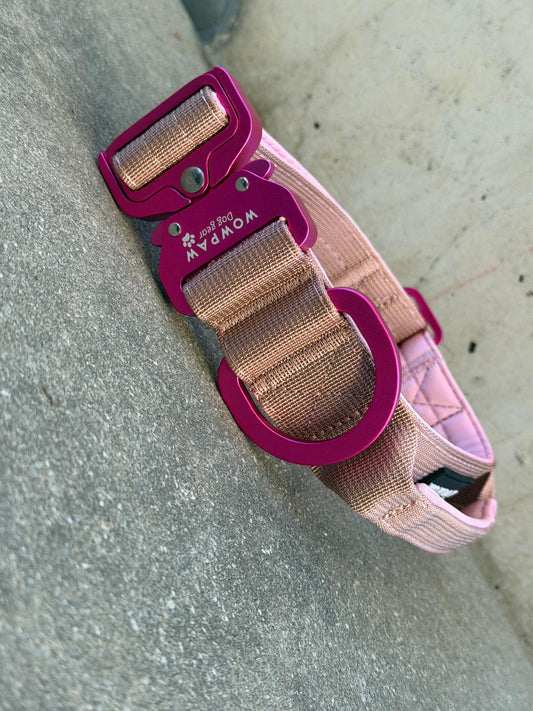 Collare tattico per cani di alta qualità blu royal taglia S