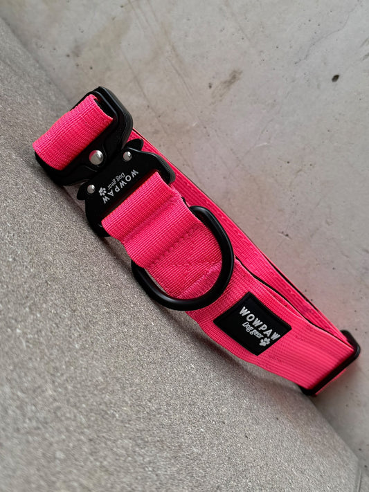 Collare LED per cani rosa neon Taglia S Larghezza 3,8cm