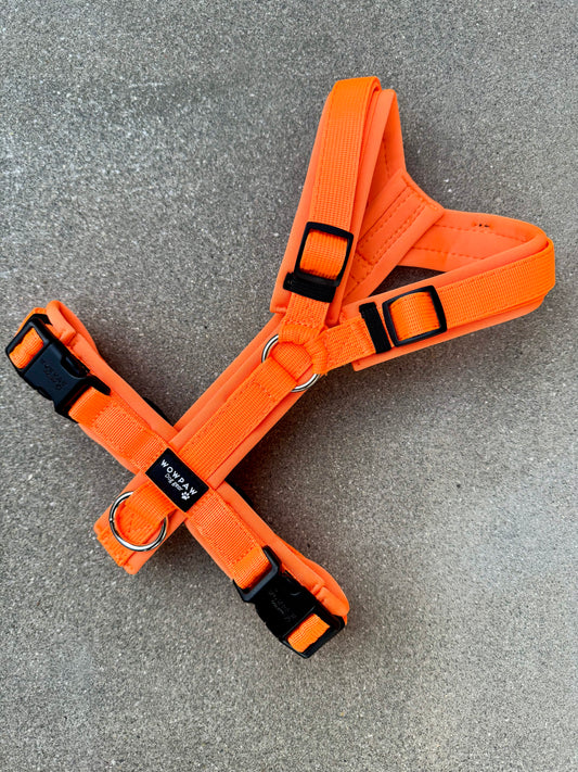 Hochwertiges Hundegeschirr FLOW Neonorange Edition