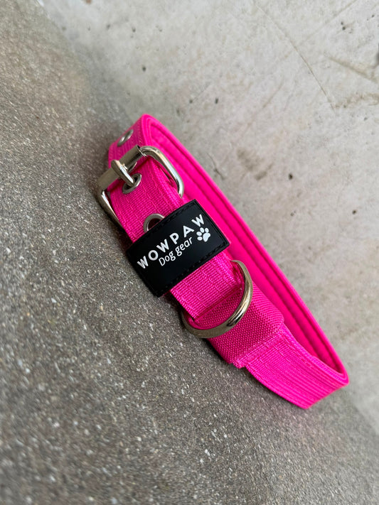 Collare per cani basic di alta qualità arancione neon taglia M