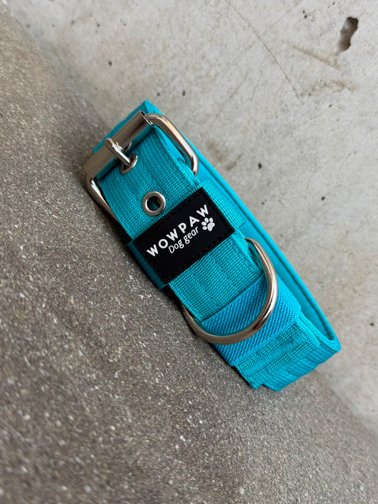 Hochwertiges Basic Hundehalsband Hellblau Edition 3,8cm Größe S