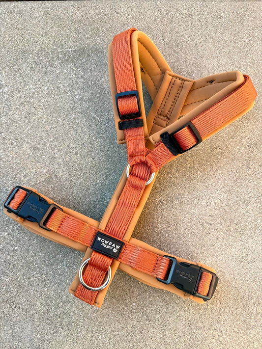 Hochwertiges Hundegeschirr FLOW Kupfer Edition