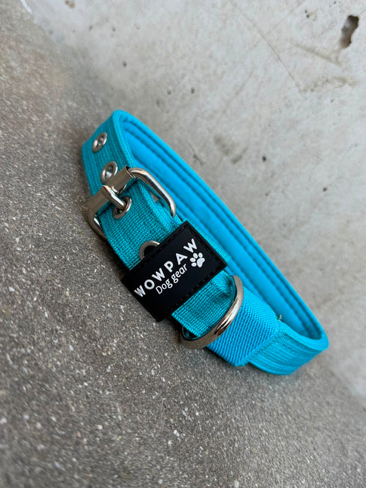 Hochwertiges Basic Hundehalsband Hellblau Edition 2,5cm Größe L