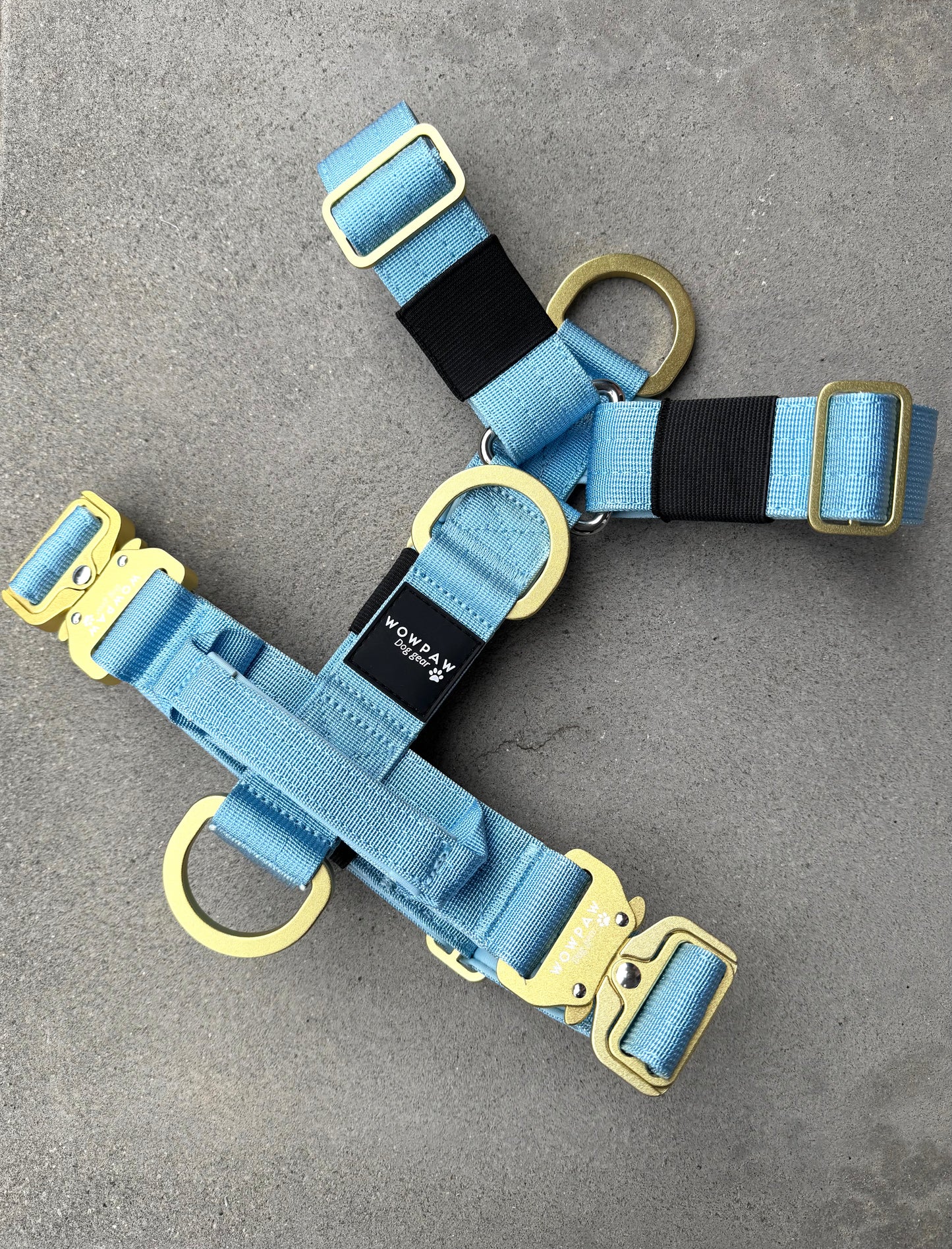 Hochwertiges Hundegeschirr L Sky Blue Edition