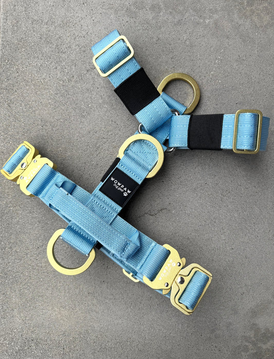 Hochwertiges Hundegeschirr S Sky Blue Edition