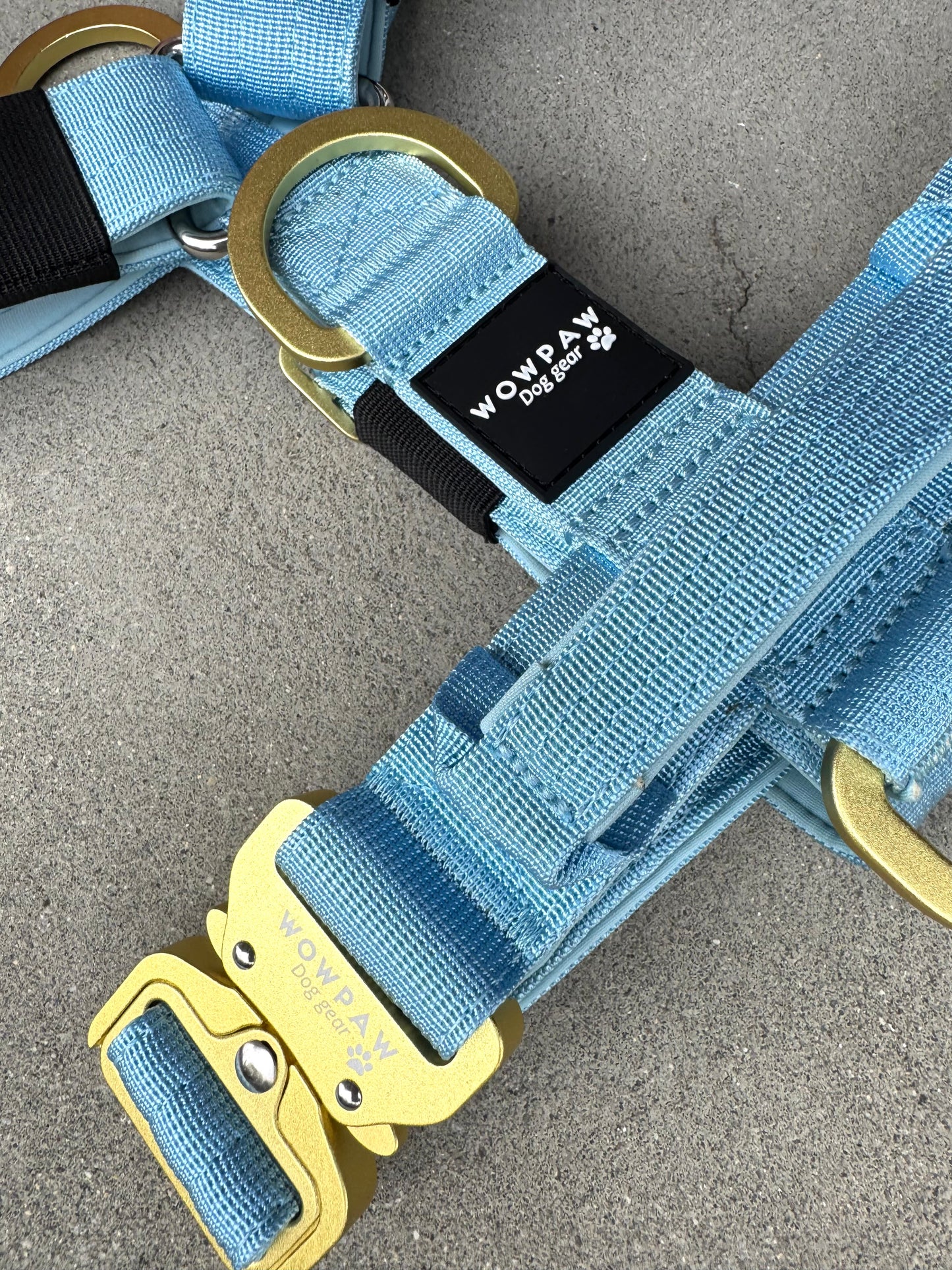 Hochwertiges Hundegeschirr L Sky Blue Edition