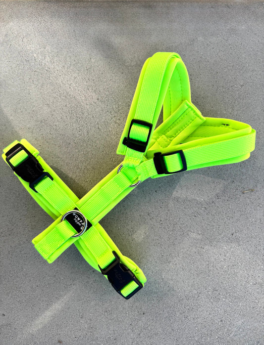 Hochwertiges Hundegeschirr FLOW Neongrün Edition