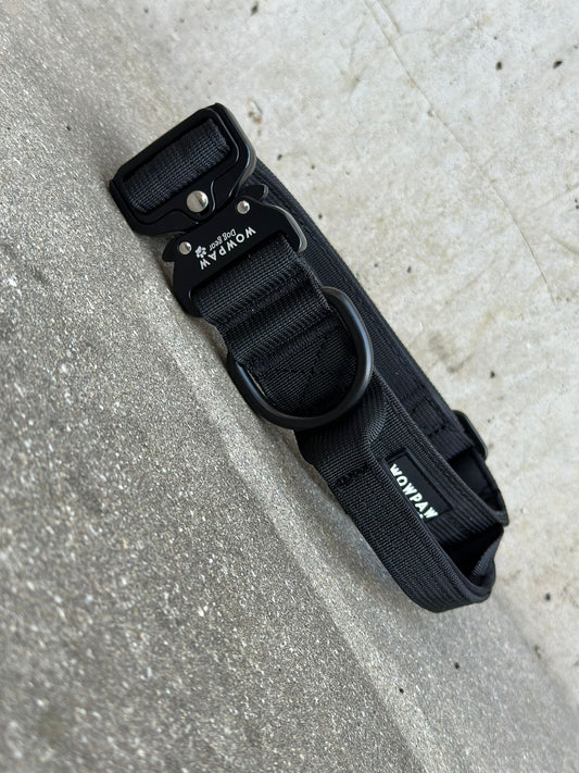 Wysokiej jakości taktyczna obroża dla psa szara rozmiar S szerokość 3,8 cm