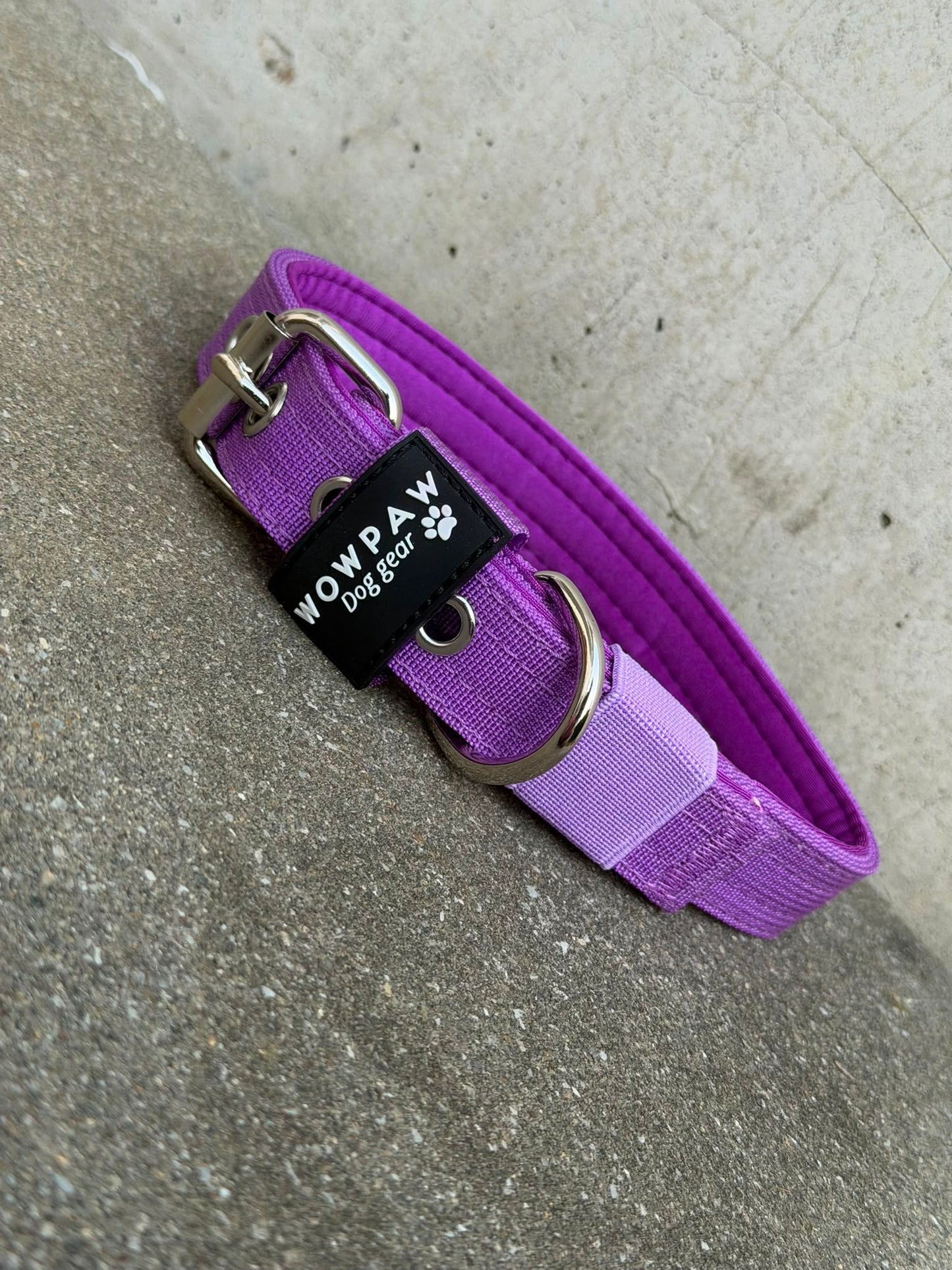 Hochwertiges Basic Hundehalsband Dunkellila Edition 2,5cm Größe M