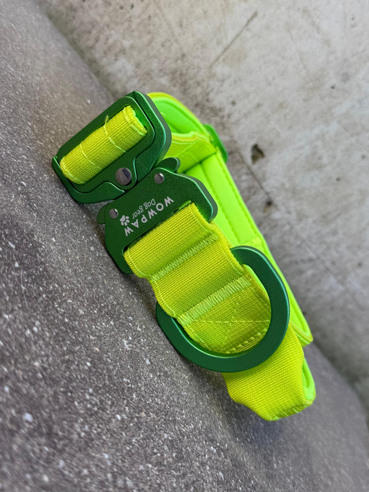 Taktisches Hundehalsband ULTRA LIGHT 3,8cm Lime Green Edition S
