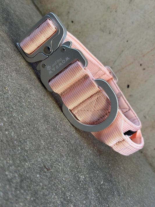 Collare tattico per cani di alta qualità blu royal taglia S