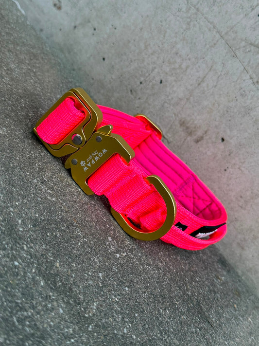 Collare per cani tattico di alta qualità 2,5 cm rosa fluo taglia XS
