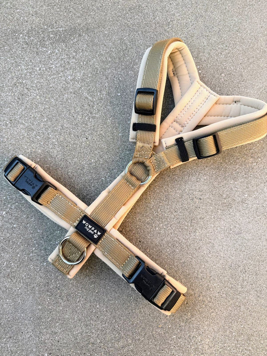 Hochwertiges Hundegeschirr FLOW Sand Olive Edition