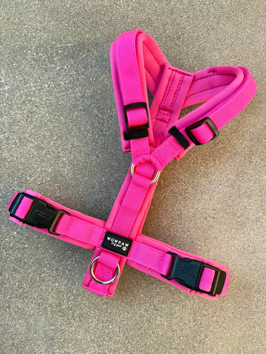 Hochwertiges Hundegeschirr FLOW Magenta Edition