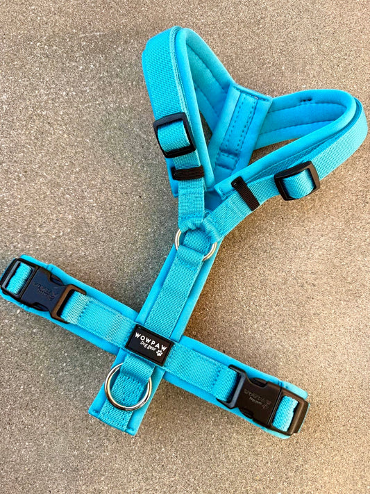 Hochwertiges Hundegeschirr FLOW Hellblau Edition