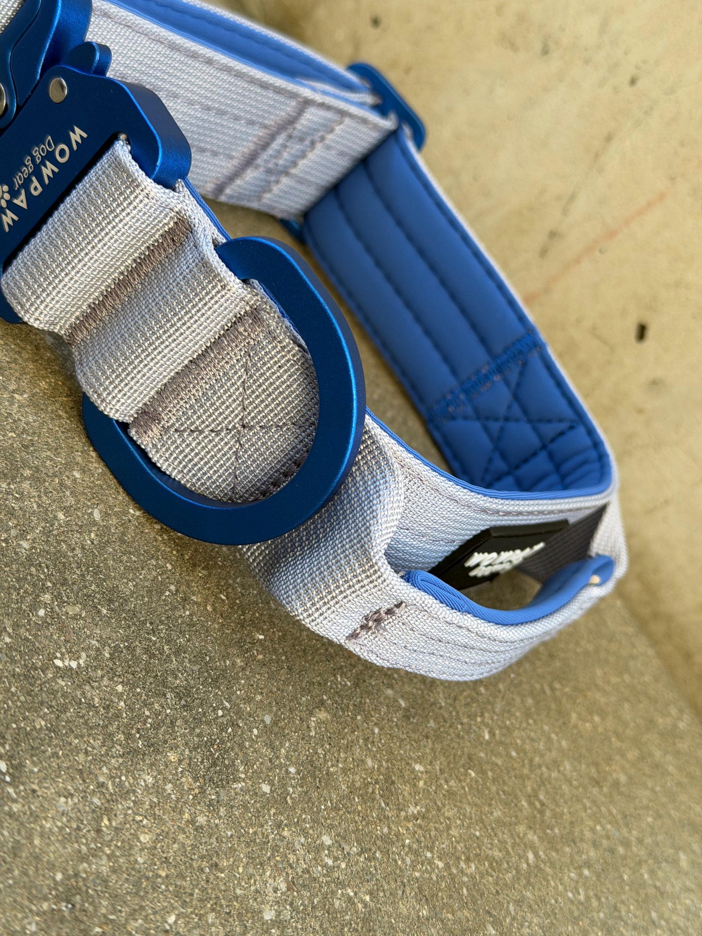 Collare tattico per cani di alta qualità blu royal taglia S