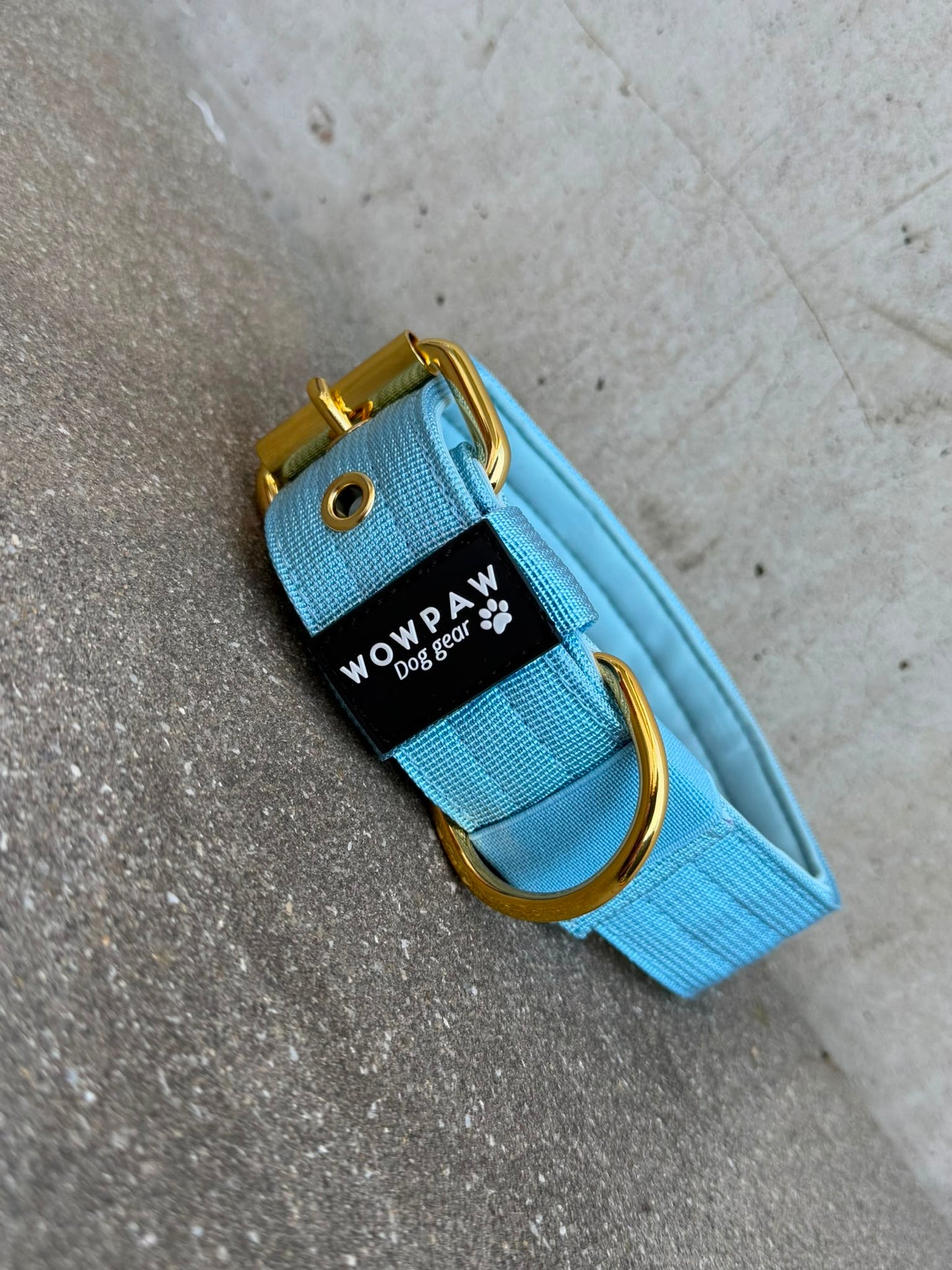 Collare per cani basic di alta qualità arancione neon taglia M