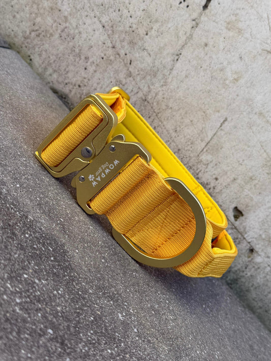 Taktisches Hundehalsband ULTRA LIGHT 5cm Yellow Edition S