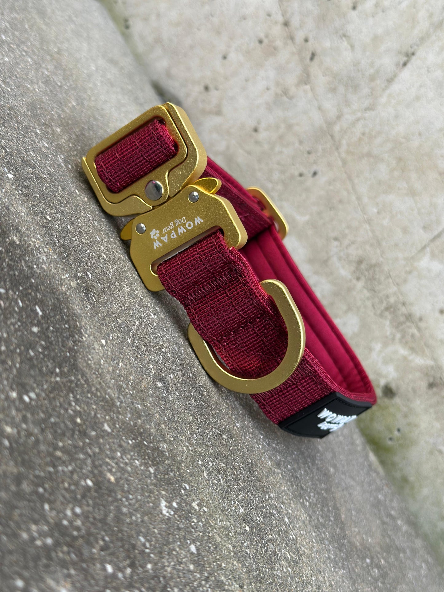 Wysokiej jakości taktyczna obroża dla psa XS 2,5 cm, edycja bordowa, bez uchwytu